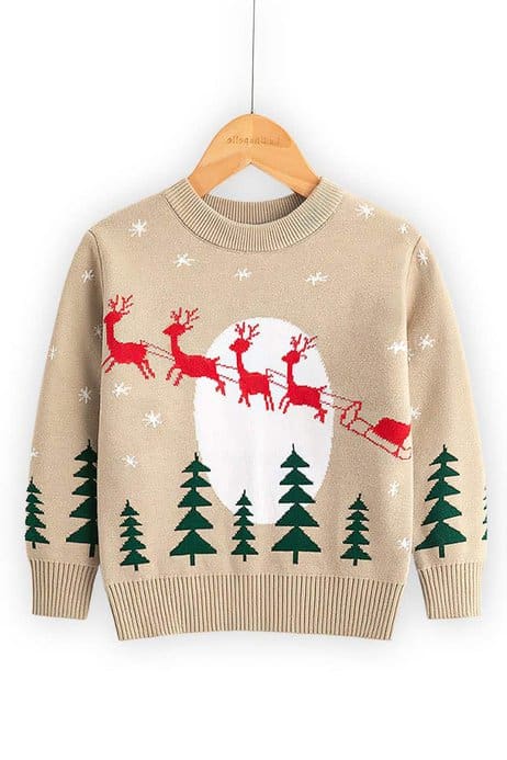 Pull de noel discount enfant pas cher